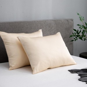 APSMILE Hair and Skin Friendly 100% Mulberry Silk Pillowcases Set of 2 - 1 of 4