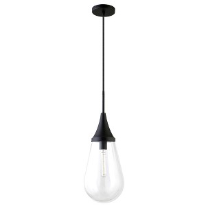 Hudson and Canal 8.63" Wide Pendant with Glass Shade - 1 of 4