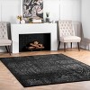 Nuloom Arlena Vintage Traditional Indoor Area Rug - 2 of 4