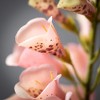 Sullivans 35" Artificial Foxglove Spray - 2 of 2