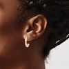 Black Bow Jewelry 3.5mm x 17mm Polished 14k Rose Gold Domed J-Hoop Earrings - 3 of 4