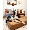 Big Barker 7" Orthopedic Dog Bed - Headrest Edition - 3 of 4