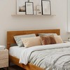 AFI Furnishings Orlando Queen Modern Solid Wood Panel Headboard with Attachable Charger, Light Toffee - 4 of 4