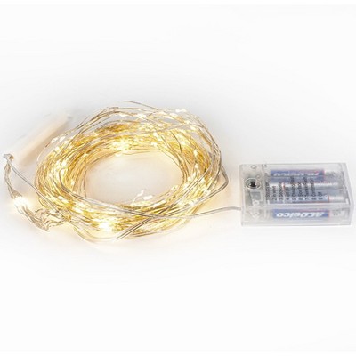 The Lakeside Collection 8-Function Lighted Fairy Garland