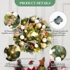24 Inch Lighted Christmas Wreath,Pre-Lit Christmas Wreath with Pinecones and Gold Accents,Warm White Light Outdoor Pine Wreath for Front Door, Window - 2 of 4
