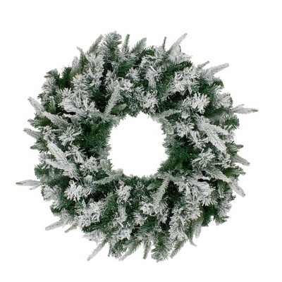 Northlight Flocked Winfield Fir Artificial Christmas Wreath - 24-Inch, Unlit