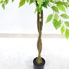 Artificial Ficus Tree, Fake Ficus Leaves Plant with Realistic Leaves and Natural Trunk for House Decor Office Home Living Room - 4 of 4
