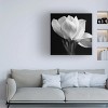 Trademark Fine Art - Michael Harrison 'Gardenia' Matted Framed Art - 2 of 4