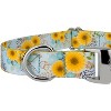 Country Brook Petz Premium Dog Collar - Spring Collection - 4 of 4