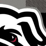 georgia bulldogs uga