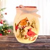 Stony Creek 4.0 Inch Winter Cardinal Couple Pre-Lit Small Jar Christmas Lighted Glass Accent , Christmas Decor Illuminated Vase Cardinals (1PC) - 2 of 4