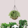 Northlight 10” Green Artificial Hanging Two-Tone Foliage Basket - 2 of 2