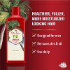 Old Spice Men's Fiji 2-in-1 Shampoo & Conditioner - 2 of 4