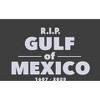 RIP Gulf of Mexico 1607-2025 Youth Crew Neck Short Sleeve Tee - 2 of 2