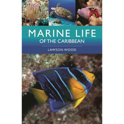 Marine Life of the Caribbean - 2nd Edition by  Lawson Wood (Paperback)