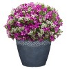 Set of 2 Corinthian Planters - Classic Home and Garden - 3 of 4