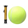 Pet Tennis with 1 Ball Pump and 2 Needles - 2 of 2