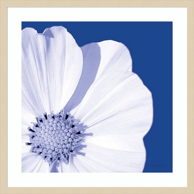 Flower Pop Blue III Graphic Art Print with Natural Wood Frame
