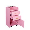 NicBex Commercial-Grade Beauty Storage Cabinet, Bedroom Dresser with 2 Drawers & Cabinet, Hair Dryer Holes, Pink Dresser, Pink Nightstand - 3 of 4
