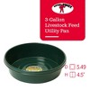 Little Giant 3 Gallon Durable and Versatile Plastic Flat Farm Livestock and Pet Ranch Home Feed and Water Utility Pan - image 2 of 4