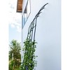 Gardener's Supply Company | Titan Half Arch | Decorative Garden Arch for Backyard, Patio, Courtyard | Durable Weatherproof Steel Support for Climbing - 2 of 4
