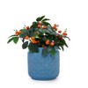 KTMBDW Ceramic Plant Pots, Planter Pot with Drainage Hole, Flower Pots for Indoor Outdoor Plants, Set of 3 - 4 of 4