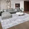 Modern Abstract Geometric Stripe Rugs for Living Room Bedroom Soft Low Pile Carpet Indoor Washable Non Slip Easy Care Area Rug - 4 of 4