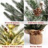 24 Inch Artificial Small Christmas Tree with Base and LED Lights for Home Table Centerpiece Office Desk Decorations - 4 of 4