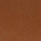 mocha
