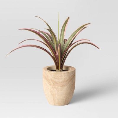 Photo 1 of 2 Spike Leaf in Wood Pot - Threshold