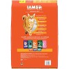 IAMS Proactive Health Chicken Flavor Dry Cat Food - 2 of 4