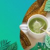 Cederberg Tea Company Nettle Leaf Herbal Tea, USDA Organic, Non-GMO, Eco-Friendly and Caffeine Free - 100 Compostable Tea Bags - 3 of 4