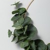 14" Faux Eucalyptus Wire Wreath - Hearth & Hand™ with Magnolia - image 3 of 3