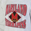 NCAA Maryland Terrapins Men's Crew Neck Fleece Ash Sweatshirt - 3 of 3