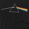 Pink Floyd Dark Side Of The Moon Unisex Adult T Shirt - image 2 of 4