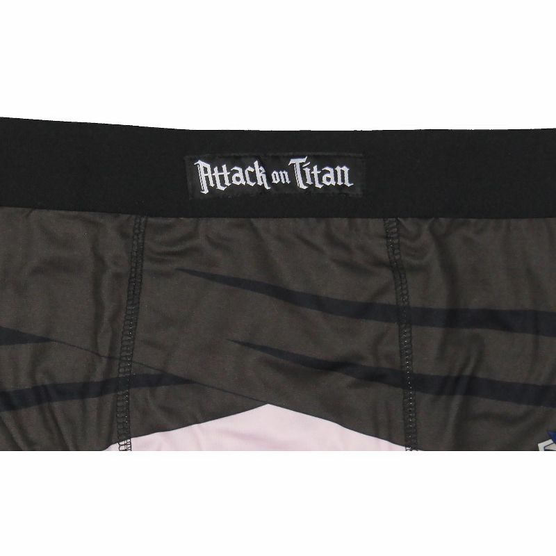 Bioworld Attack On Titan Survey Corps Wings Of Freedom Men's Boxer Briefs, 2 of 5