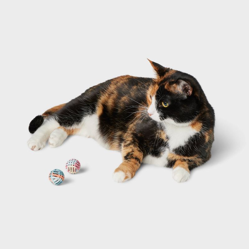 Rubber Lattice Cat Toy Balls - 2pk - Boots &#38; Barkley&#8482;, 2 of 4