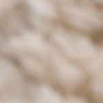 ivory, off white, peach