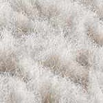 ivory, off white, peach