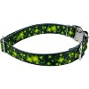Country Brook Petz Premium Dog Collar - Irish Pride Collection - 4 of 4