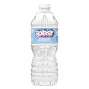 Splash Refresher Wild Berry Water Beverage - 24pk/0.5L Bottles - 4 of 4