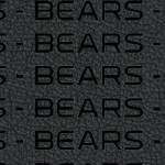 chicago bears