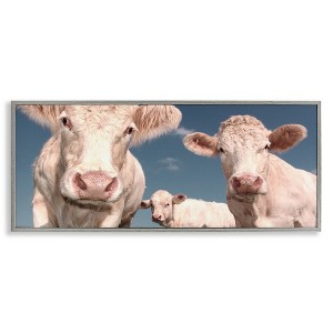 Stupell Industries Three White Cows Framed Giclee Art - 1 of 4