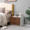 Tangkula 2PCS Nightstand Bedside Side End Table w/ 2 Drawers for Bedroom Living Room - 2 of 4