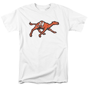 Campbell University Official Distressed Primary Logo Adult T Shirt, Gray, Small - 1 of 4