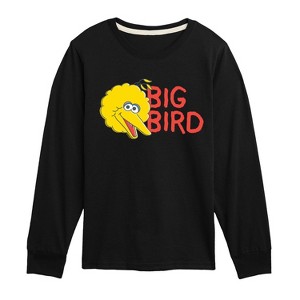 Boys' - Sesame Street - Big Bird Long Sleeve Graphic T-Shirt - 1 of 3