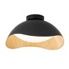 Dewdrop Nordic Minimalist Lighting Ceiling Light Curved Shade Modern LED Fixture Black Wood Grain ETL For Bedroom - 2 of 4