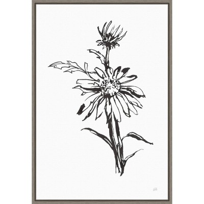 16" x 23" Line Echinacea Flower I by Chris Paschke Framed Wall Canvas - Amanti Art