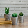 Northlight 3.5" Tropical Cactus in Tin Pot Artificial Potted Plant - Green/Silver - image 2 of 3