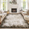 Abstract Rug Bordered Large Rugs for Living Room Modern Machine Washable Area Rugs Ombre Carpet Foldable Printed Dining Room Rug - 2 of 4